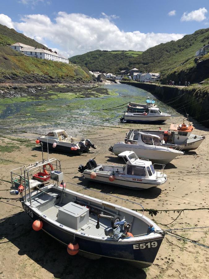 Polrunny Farm Blackberry Cottage - Cornwall Bliss In Sight Of The Sea Boscastle Bagian luar foto
