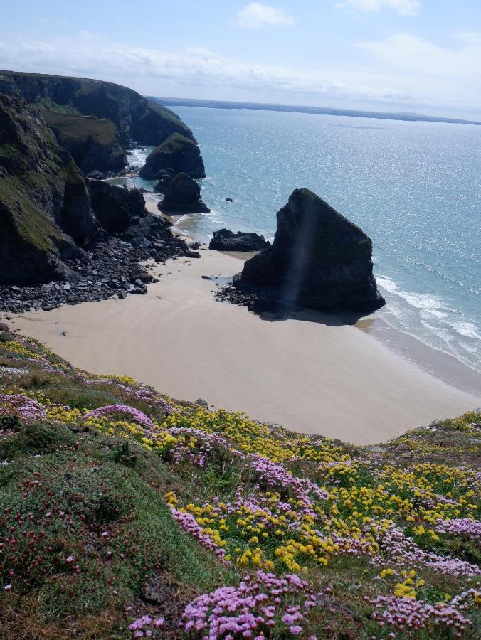 Polrunny Farm Blackberry Cottage - Cornwall Bliss In Sight Of The Sea Boscastle Bagian luar foto