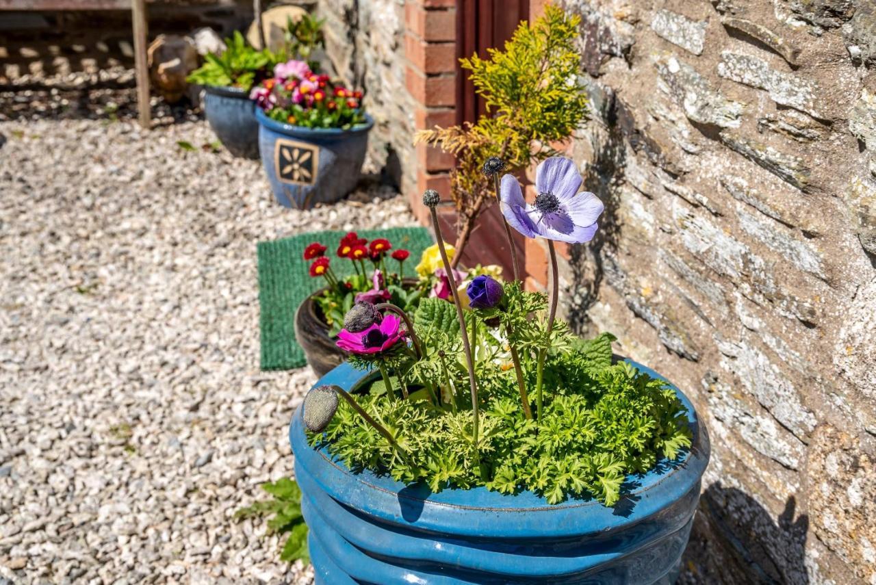 Polrunny Farm Blackberry Cottage - Cornwall Bliss In Sight Of The Sea Boscastle Bagian luar foto