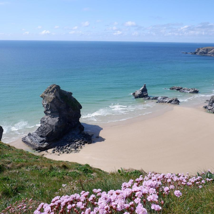 Polrunny Farm Blackberry Cottage - Cornwall Bliss In Sight Of The Sea Boscastle Bagian luar foto