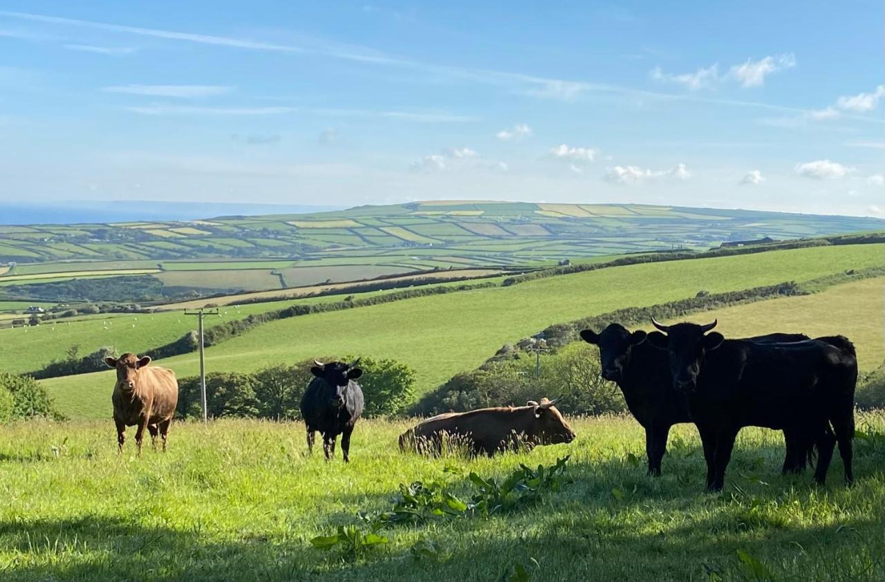 Polrunny Farm Blackberry Cottage - Cornwall Bliss In Sight Of The Sea Boscastle Bagian luar foto