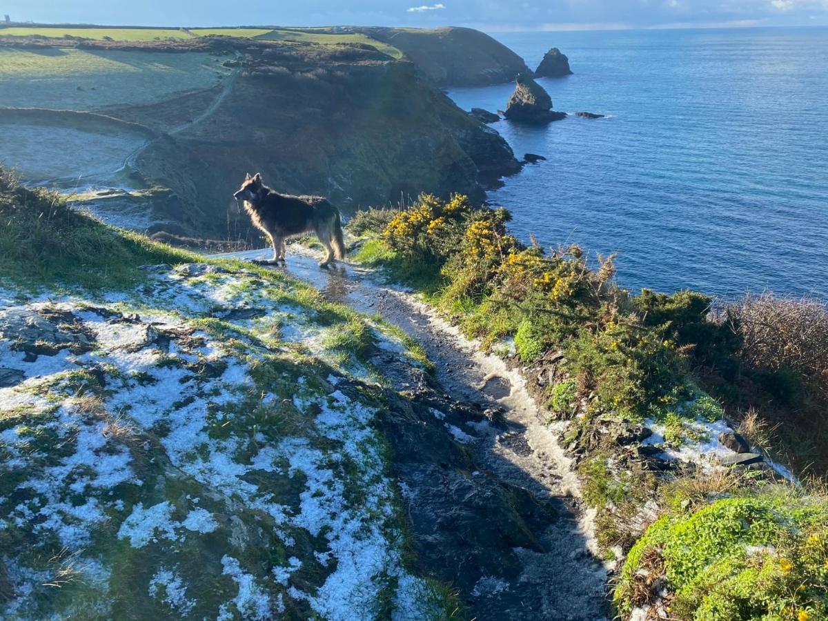Polrunny Farm Blackberry Cottage - Cornwall Bliss In Sight Of The Sea Boscastle Bagian luar foto