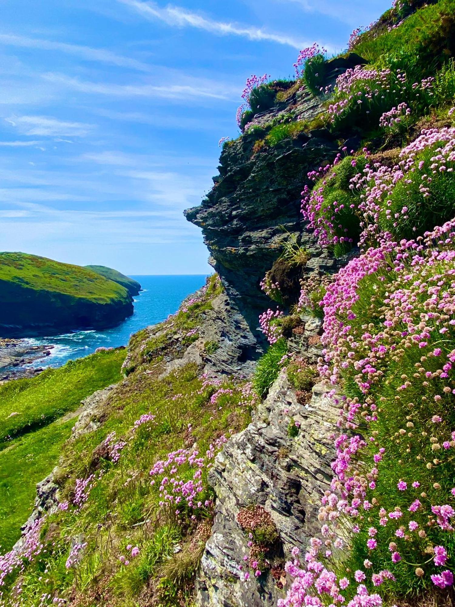 Polrunny Farm Blackberry Cottage - Cornwall Bliss In Sight Of The Sea Boscastle Bagian luar foto